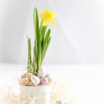 Easter flowers